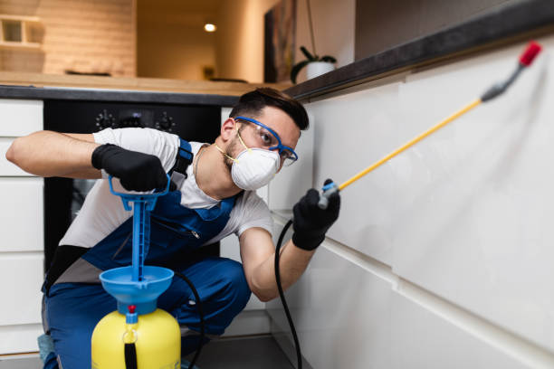 Best Local Pest Control Services  in Highpoint, OH
