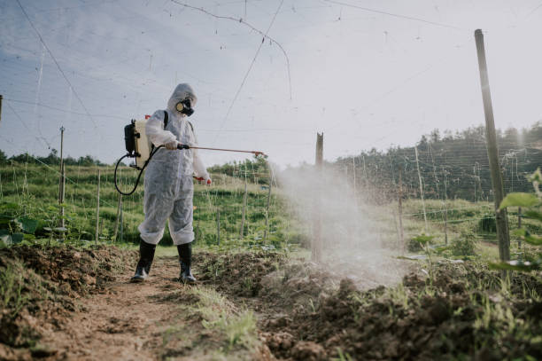 Best Pest Control for Homes  in Highpoint, OH