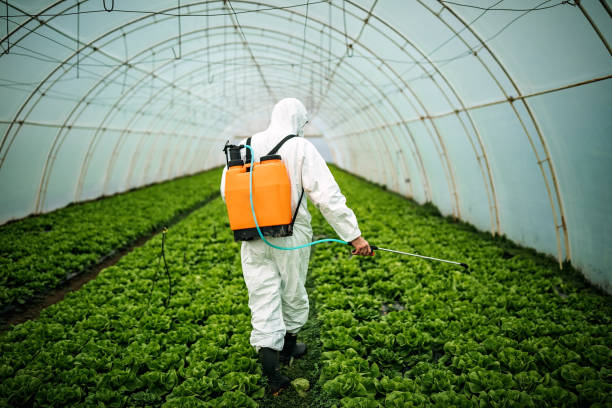 Best Commercial Pest Control Services  in Highpoint, OH