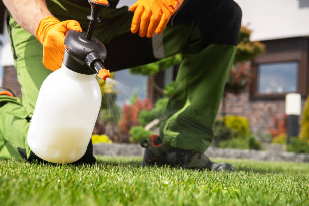 Best Pest Control Near Me  in Highpoint, OH