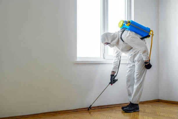 Best Pest Inspection Near Me  in Highpoint, OH