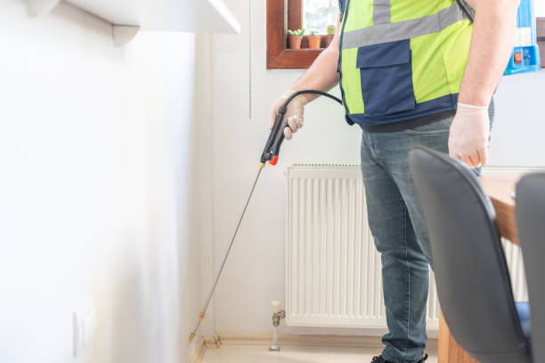 Professional Pest Control in Highpoint, OH