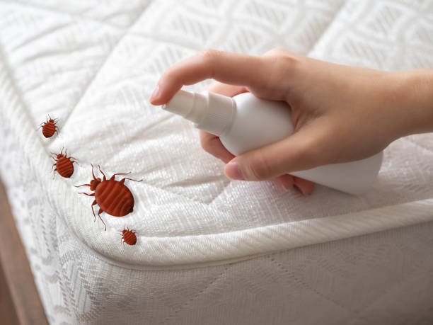 Best Pest Control for Restaurants  in Highpoint, OH